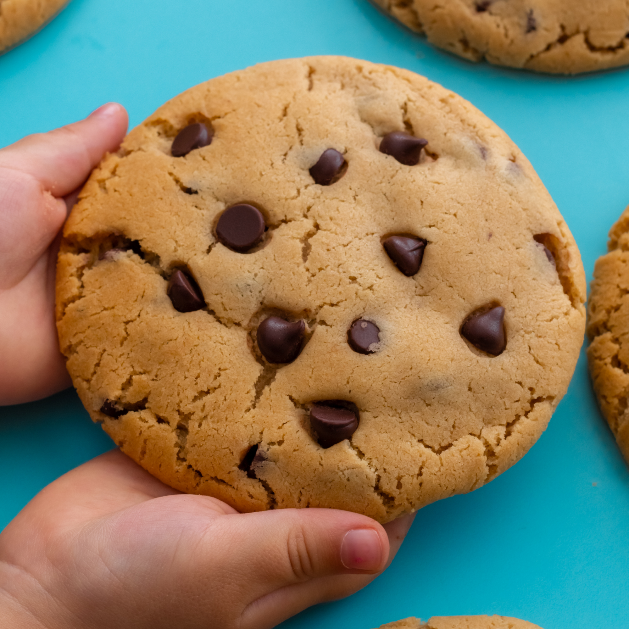 COMING SOON! Chocolate Chip Cookie | Crazy Cookies – Andersen's COMING SOON! Chocolate Chip Cookie | Crazy Cookies – Andersen's